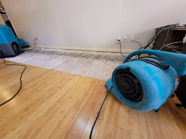 Professional Burst Pipe Water Damage technician working in Grove City, OH